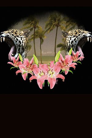 印花华亿平台图片