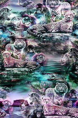 豹子印花华亿平台图片