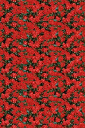 大花  花卉 小碎花印花华亿平台图片