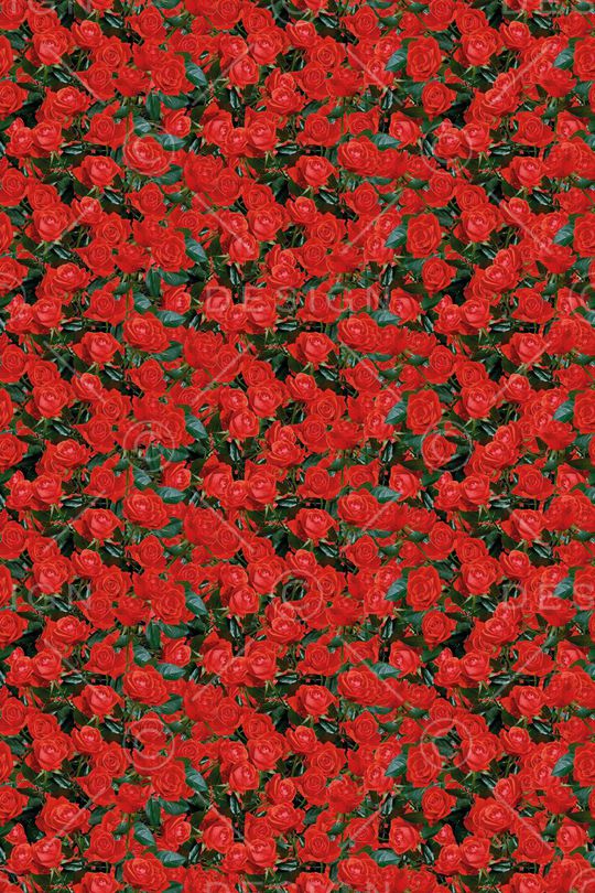 大花  花卉 小碎花印花华亿平台图片