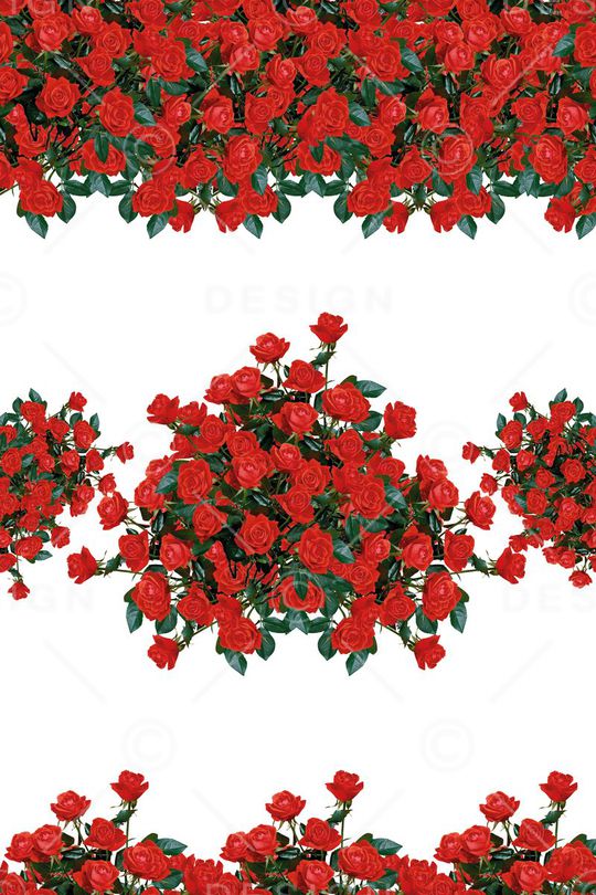 大花  花卉 小碎花印花华亿平台图片