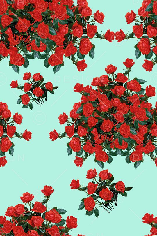 大花  花卉 小碎花印花华亿平台图片