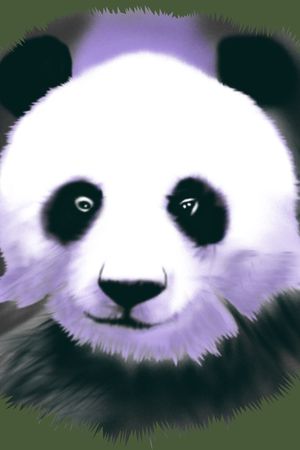 T恤胸花印花华亿平台图片