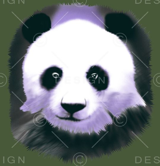 T恤胸花印花华亿平台图片