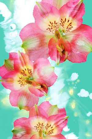 V-中国风/Chinese印花华亿平台图片