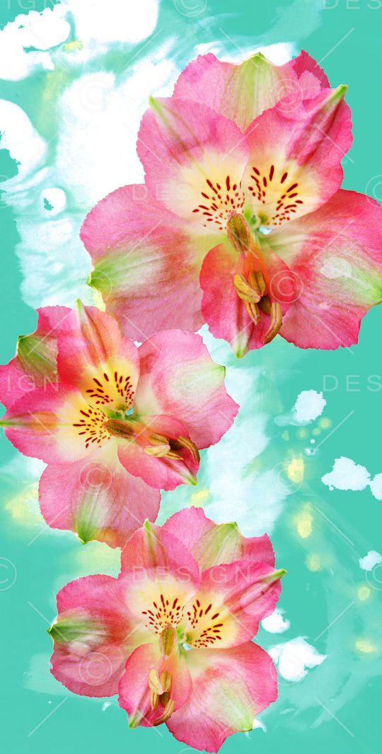 V-中国风/Chinese印花华亿平台图片