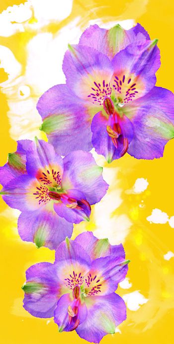 343531-水墨简约花卉1