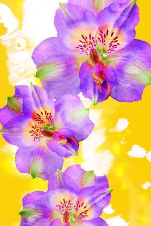 V-中国风/Chinese印花华亿平台图片