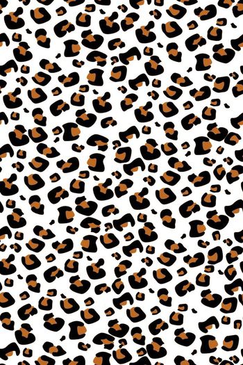 343537-豹纹