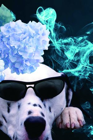 抽象印花华亿平台图片