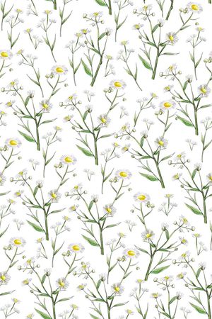 ♥红桃A〖花鸟天堂〗印花华亿平台图片