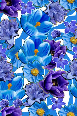 ♥红桃A〖花鸟天堂〗印花华亿平台图片