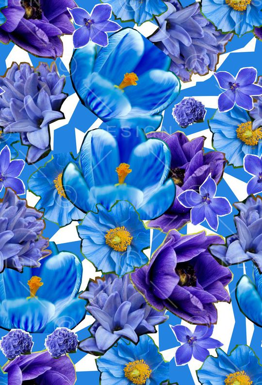 ♥红桃A〖花鸟天堂〗印花华亿平台图片