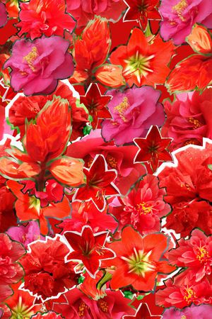 ♥红桃A〖花鸟天堂〗印花华亿平台图片