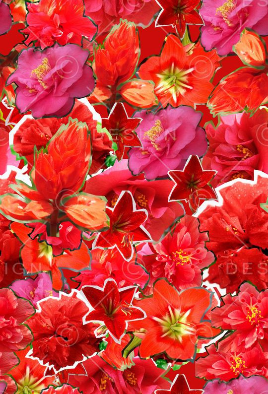 ♥红桃A〖花鸟天堂〗印花华亿平台图片