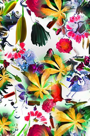 花鸟印花华亿平台图片