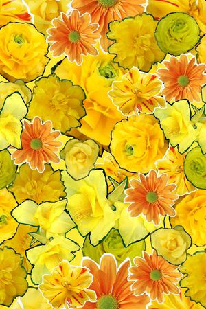 ♥红桃A〖花鸟天堂〗印花华亿平台图片