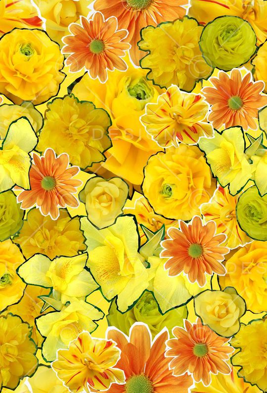 ♥红桃A〖花鸟天堂〗印花华亿平台图片