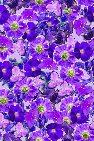 ♥红桃A〖花鸟天堂〗印花华亿平台图片