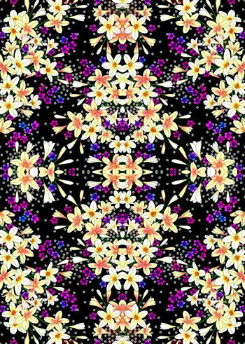 344279-pic2480_009-1