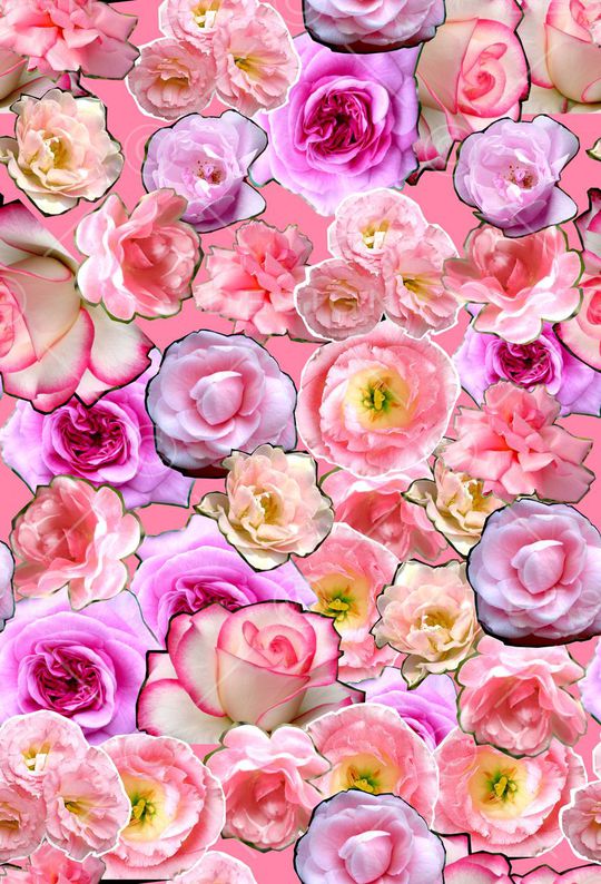 ♥红桃A〖花鸟天堂〗印花华亿平台图片