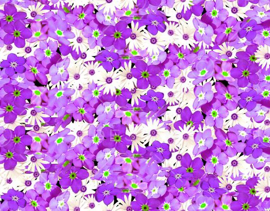 清新印花华亿平台图片