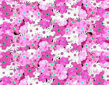 344574-满版蓝色素雅小花