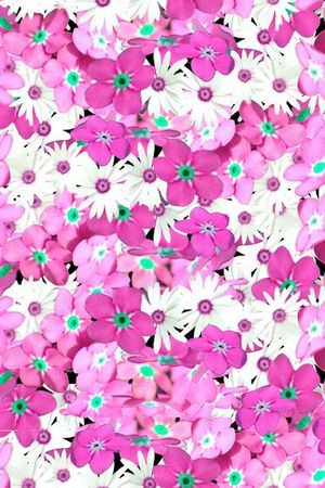 印花华亿平台图片