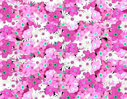 印花华亿平台图片