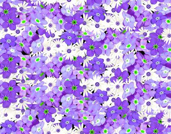 344575-满版蓝色素雅小花