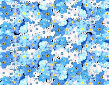 344576-满版蓝色素雅小花