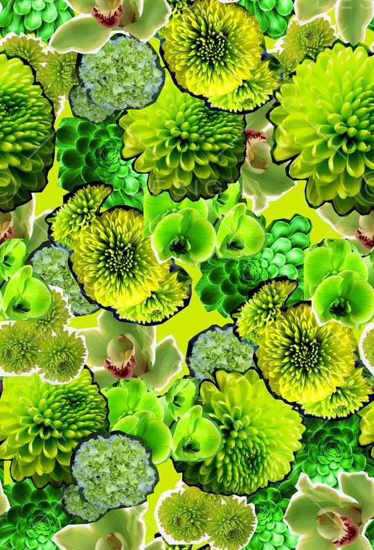 ♥红桃A〖花鸟天堂〗印花华亿平台图片