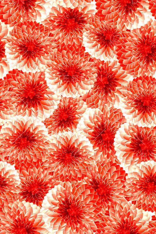 花鸟花卉印花华亿平台图片