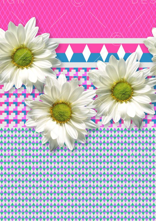 E-花卉几何/Flowers印花华亿平台图片