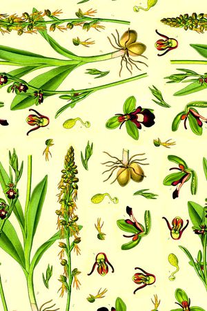 复古印花华亿平台图片