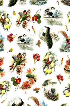 ♥红桃A〖花鸟天堂〗印花华亿平台图片