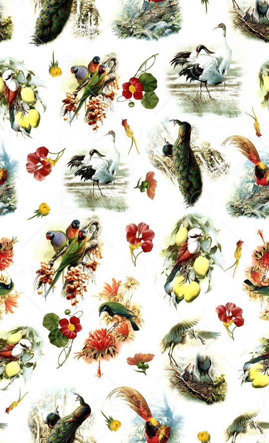 ♥红桃A〖花鸟天堂〗印花华亿平台图片