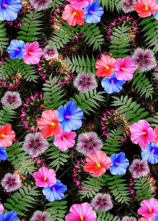 花卉印花华亿平台图片