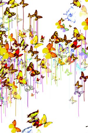 动物印花华亿平台图片