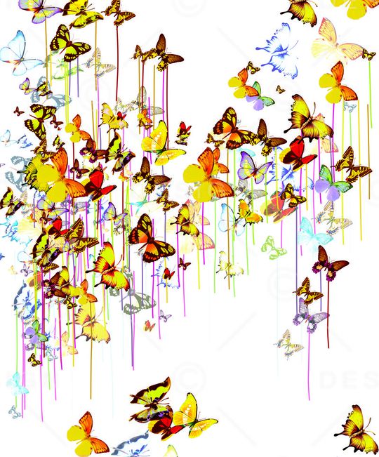 动物印花华亿平台图片