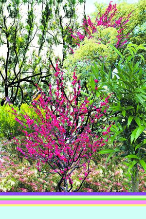 照片景观印花华亿平台图片