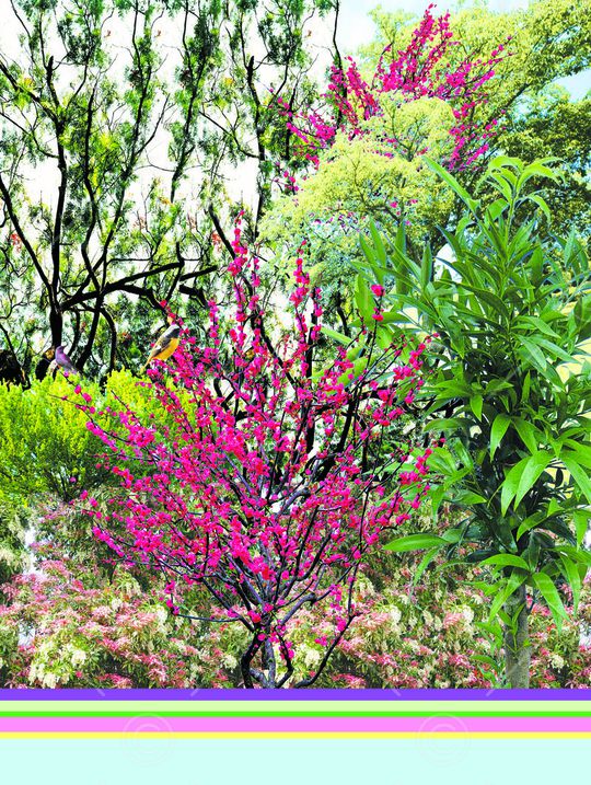 照片景观印花华亿平台图片
