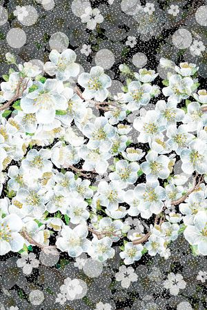 花鸟花卉印花华亿平台图片