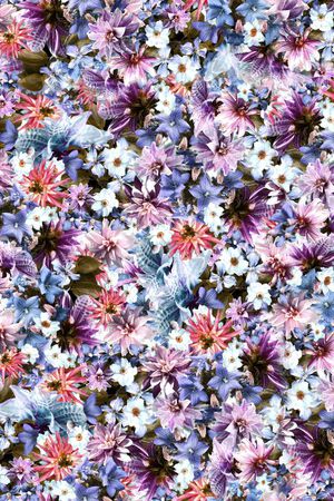 印花华亿平台图片