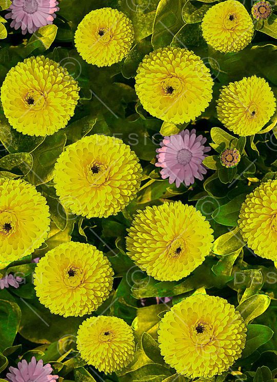 印花华亿平台图片