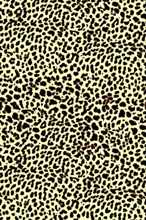 豹纹印花华亿平台图片