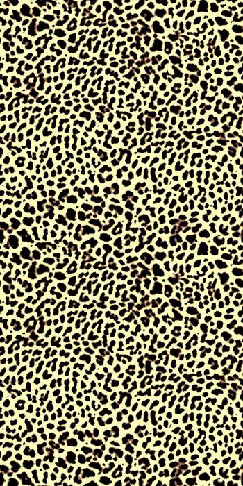 351945-细致金钱豹纹性感逼真