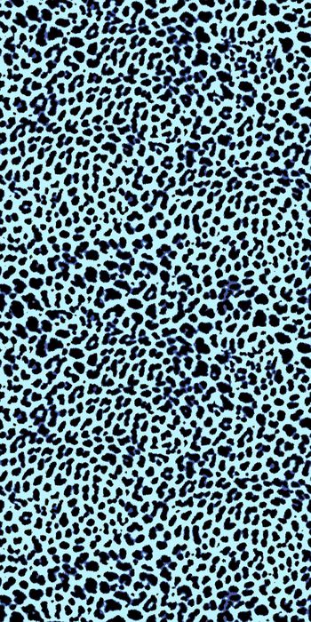 351946-细致金钱豹纹性感逼真1