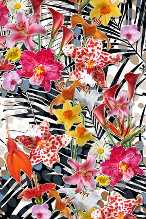 U-植物花卉/Botany印花华亿平台图片