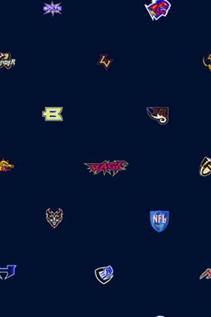 四方两方连续印花华亿平台图片